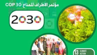 القمة الشبابية السودانية