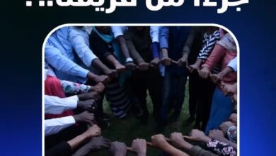 فرصة تطوع