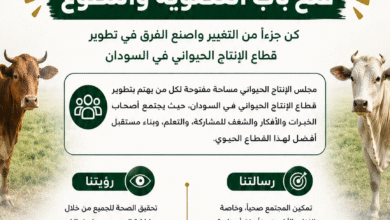 مجلس الإنتاج الحيواني