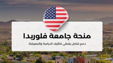منحة دراسية