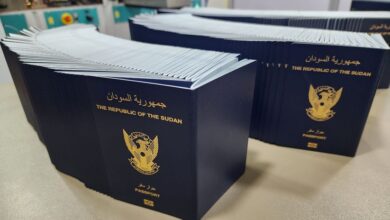 الجواز السوداني