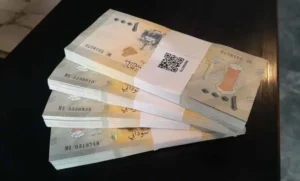 العملة السودانية