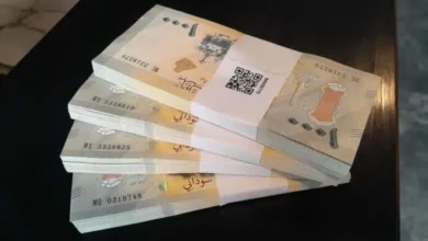 العملة السودانية